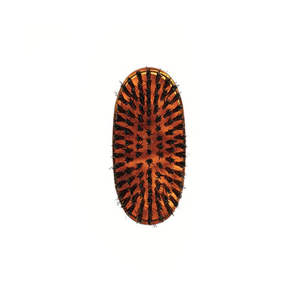 Tortoiseshell Military Hair Brush with Boar Bristles. Oval Medium